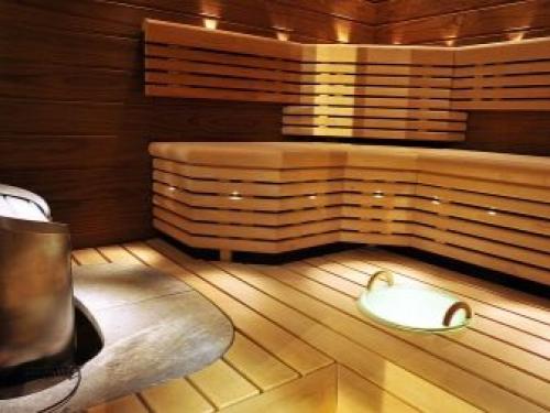 Каменка в баню из железа. Особенности 18 Каменка в баню из железа. Особенности 18