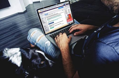 Элементы окна window.  Окна в Windows: что это такое, их виды и как сними работать