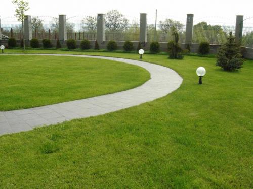 Газон рулонный состав трав. Рулонный газон — использование в ландшафтном дизайне и проектирование лужаек (90 фото)