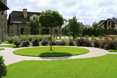 Газон рулонный состав трав. Рулонный газон — использование в ландшафтном дизайне и проектирование лужаек (90 фото)