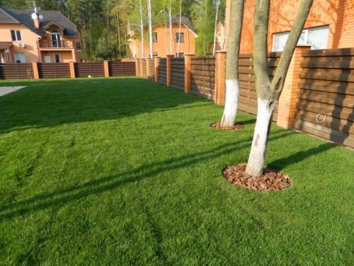 Газон рулонный состав трав. Рулонный газон — использование в ландшафтном дизайне и проектирование лужаек (90 фото)