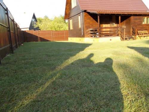 Газон рулонный состав трав. Рулонный газон — использование в ландшафтном дизайне и проектирование лужаек (90 фото)