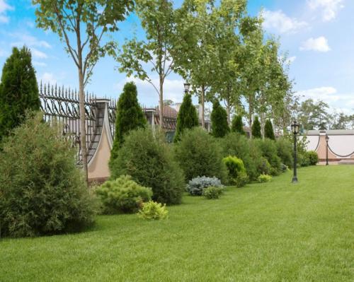 Газон рулонный состав трав. Рулонный газон — использование в ландшафтном дизайне и проектирование лужаек (90 фото)