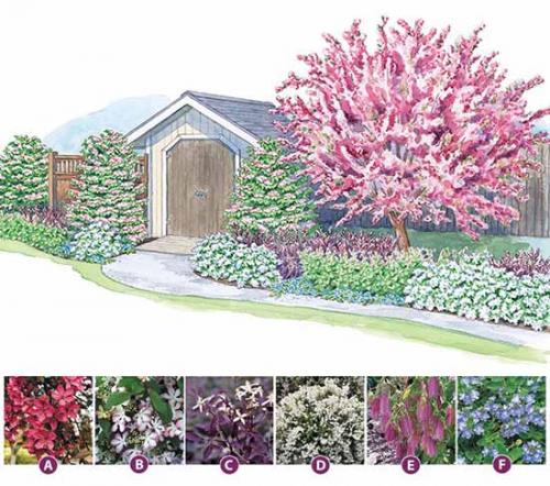 Самые простые схемы оформления клумбы. Как сделать красивую клумбу: 15 схем для цветника