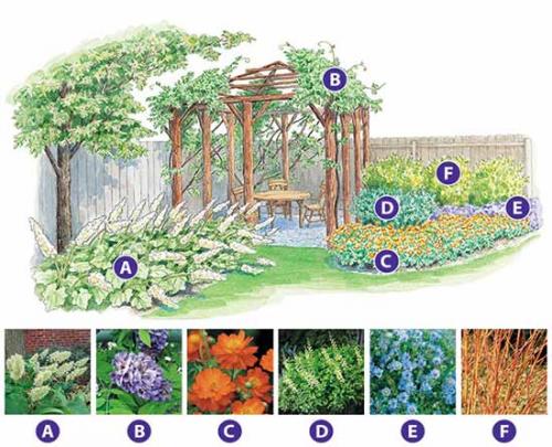 Самые простые схемы оформления клумбы. Как сделать красивую клумбу: 15 схем для цветника