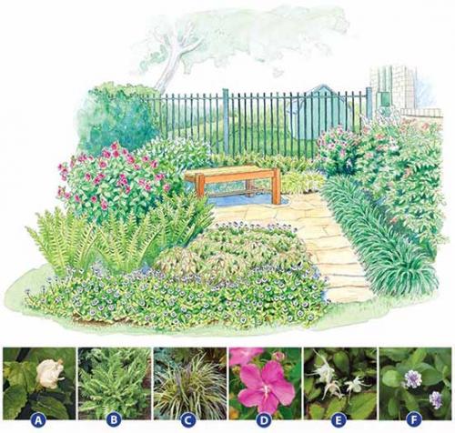 Самые простые схемы оформления клумбы. Как сделать красивую клумбу: 15 схем для цветника