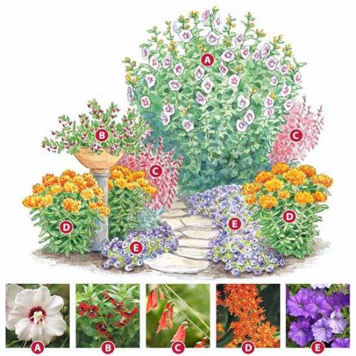 Самые простые схемы оформления клумбы. Как сделать красивую клумбу: 15 схем для цветника