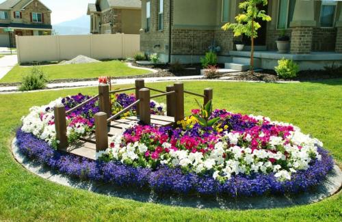 Клумбы из многолетних цветов дизайн садовых клумб. Клумбы из многолетников: правила и особенности выращивания для новичков (85 фото)