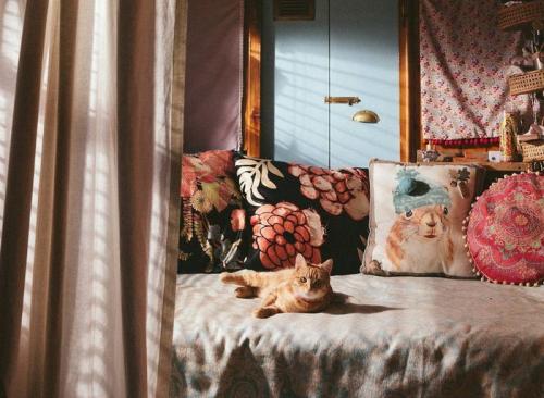 Компактное жилье на воде) 04