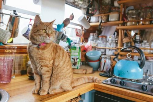 Компактное жилье на воде) 05