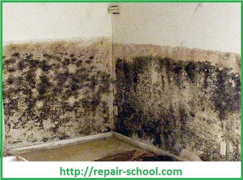 Внутренняя отделка подвала частного дома. Как выполнить отделку подвала частного дома? 09 Внутренняя отделка подвала частного дома. Как выполнить отделку подвала частного дома? 09