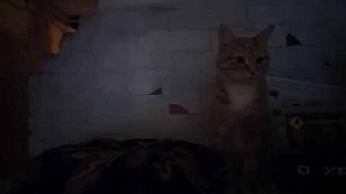 Как подключить инфракрасного излучения обогреватель. Недостатки инфракрасных обогревателей, как это часто бывает – продолжение их достоинств.