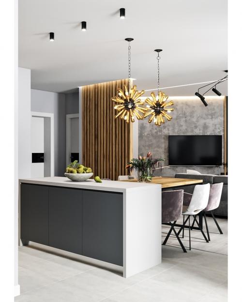 Большая кухня-гостиная, площадью 56,3 кв. м 02