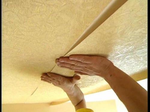 Потолок в частном доме. Варианты отделки потолков в доме 07 Потолок в частном доме. Варианты отделки потолков в доме 07