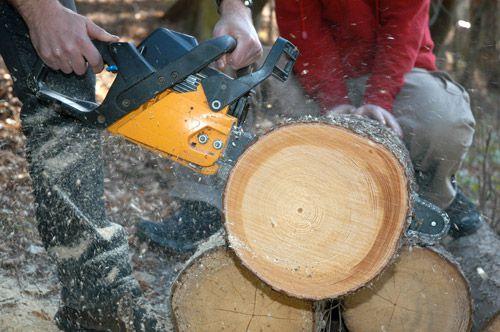 Дом из кругляка, как построить. Из какого бревна лучше строить дом? 05 Дом из кругляка, как построить. Из какого бревна лучше строить дом? 05