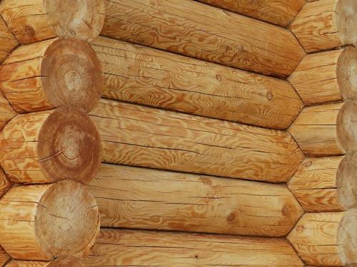 Дом из кругляка, как построить. Из какого бревна лучше строить дом? 12 Дом из кругляка, как построить. Из какого бревна лучше строить дом? 12