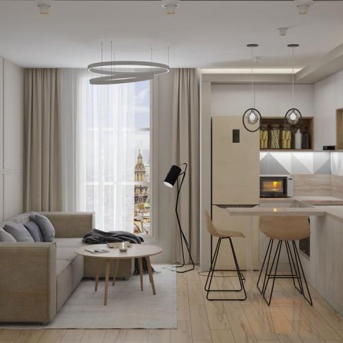 Небольшая кухня — гостиная. Оцените. 03