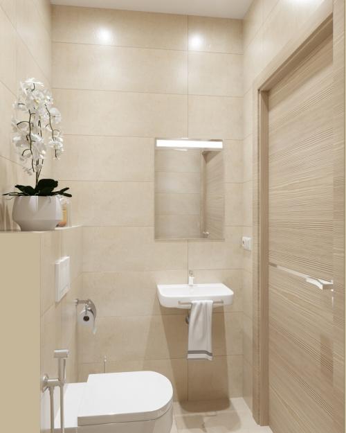 Интерьер санузла 01