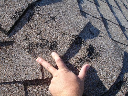 Ремонт мягкой кровли технониколь. Как отремонтировать мягкую кровлю: ремонт битумной черепицы