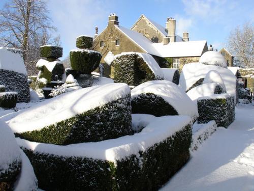 Цветущие комнатные цветы зимой. 35 Цветущие комнатные цветы зимой. 35