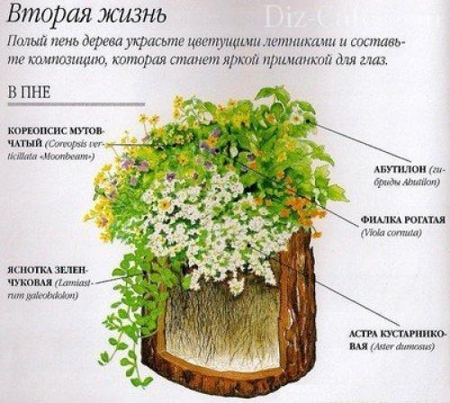 Как из пня сделать стол. Мебель из пней (12 фотографий). Ход работы по созданию мебели из пня 26