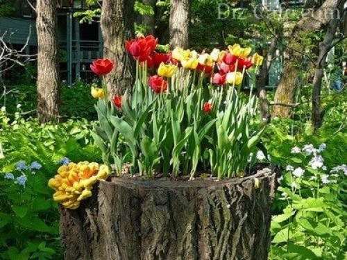 Как из пня сделать стол. Мебель из пней (12 фотографий). Ход работы по созданию мебели из пня 27