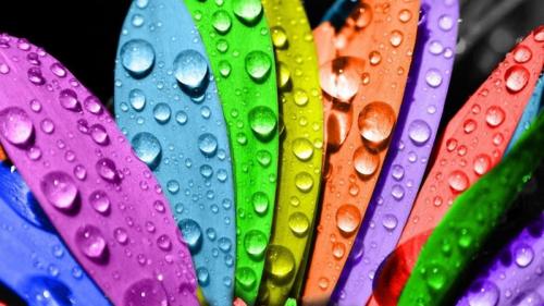 Как покрасить неровные стены в ванной. Как правильно выбрать краску и инструменты