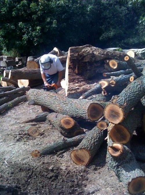 Как сделать из пня стол. Журнальный стол из пня своими руками 10 Как сделать из пня стол. Журнальный стол из пня своими руками 10