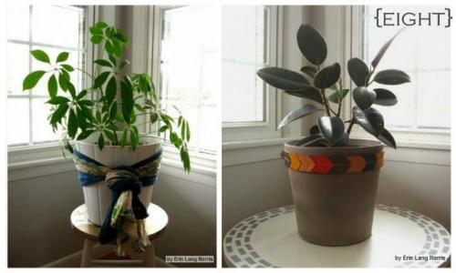 Какой цветок подарить мужчине в горшке. Какие цветы в горшках подарить мужчине? 09 Какой цветок подарить мужчине в горшке. Какие цветы в горшках подарить мужчине? 09