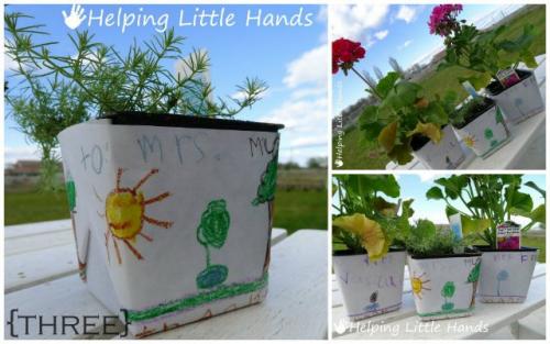 Какой цветок подарить мужчине в горшке. Какие цветы в горшках подарить мужчине? 04 Какой цветок подарить мужчине в горшке. Какие цветы в горшках подарить мужчине? 04