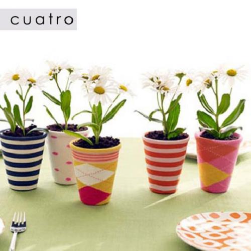 Какой цветок подарить мужчине в горшке. Какие цветы в горшках подарить мужчине? 06 Какой цветок подарить мужчине в горшке. Какие цветы в горшках подарить мужчине? 06