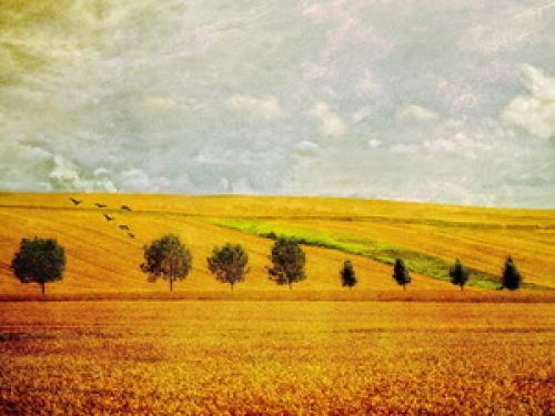 Стандартная ширина обоев для стен. Ширина рулона обоев 02 Стандартная ширина обоев для стен. Ширина рулона обоев 02