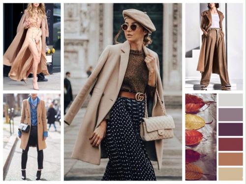 Бежевый цвет сочетание. Какие цвета сочетаются с бежевым в одежде