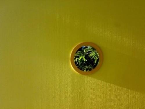 Как подобрать краску для покраски стен. Краски на водной основе 17 Как подобрать краску для покраски стен. Краски на водной основе 17