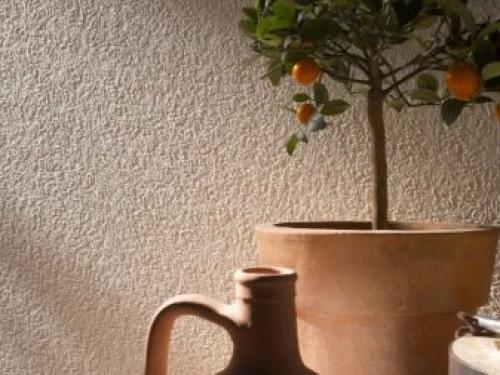 Как подобрать краску для покраски стен. Краски на водной основе 04 Как подобрать краску для покраски стен. Краски на водной основе 04