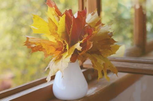 Осеннее украшение окон. Как украсить окно осенью своими руками?
