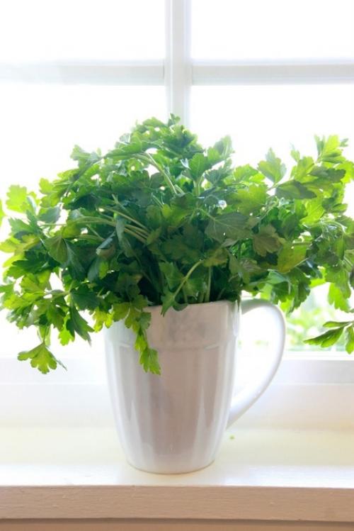 Как хранить овощи и фрукты в холодильнике. 10 золотых правил по хранению овощей и фруктов в закладки 36