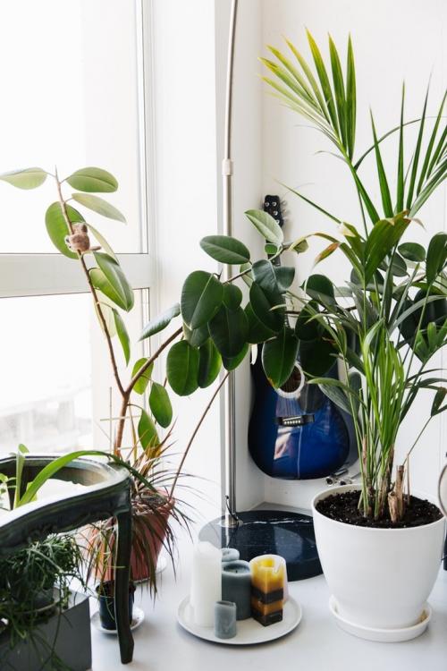 Компактная студия с гамаком и панорамным остеклением для молодой пары 09