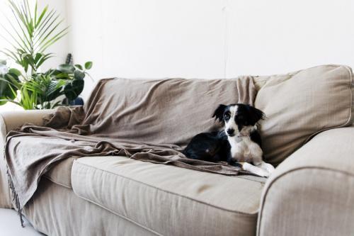 Компактная студия с гамаком и панорамным остеклением для молодой пары 12