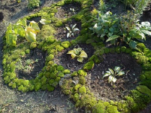 Мох в интерьере ванной. Где взять декоративный мох?