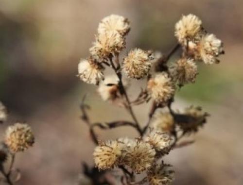 Бежевый цвет в интерьере психология. Бежевый цвет – сочетание, психология, символика