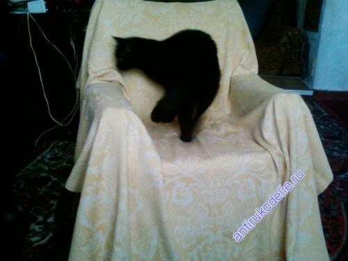 Кресло из бутылок пластиковых.