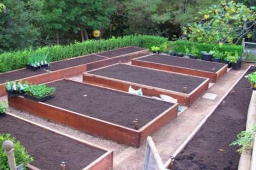 Как сделать правильно грядки. Выбор места для грядки