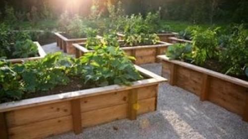 Как сделать правильно грядки. Выбор места для грядки 02