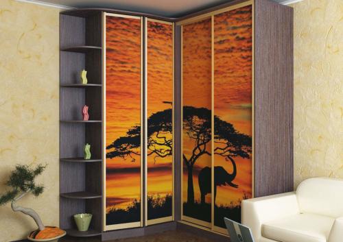 Встроенный распашной шкаф в нишу. Как разместить встроенный шкаф с распашными дверями в нише