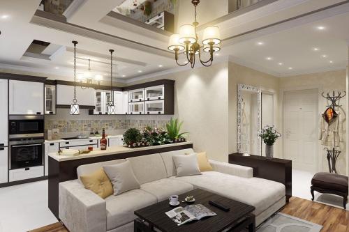 Дизайн гостиной с кухней в доме. Интерьер кухни-гостиной 20 кв.м