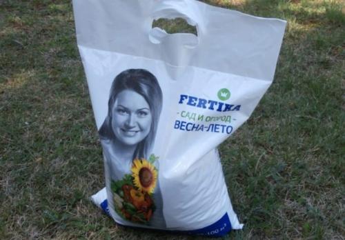 Как сохранить тюльпаны в горшке. Уход за цветущими растениями