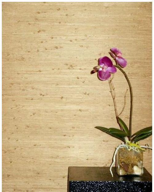 Бумажные обои экологически чистые. Какие обои экологичнее?