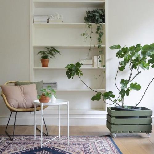 Как сделать уютной съемную квартиру. Как сделать съемную квартиру уютной: 5 советов