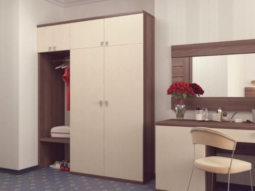 Встроенный распашной шкаф в нишу. Как разместить встроенный шкаф с распашными дверями в нише